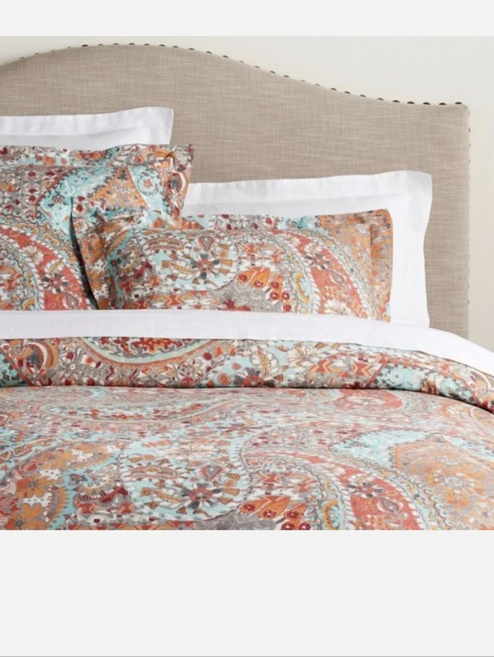 Pottery Barn Paloma Paisley Organic Cotton Standard Pillow Shams (2)